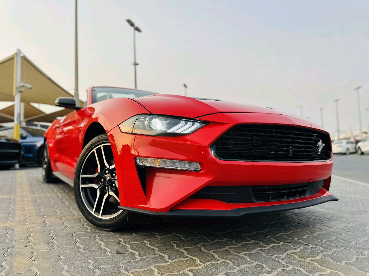 Ford Mustang - Image 4