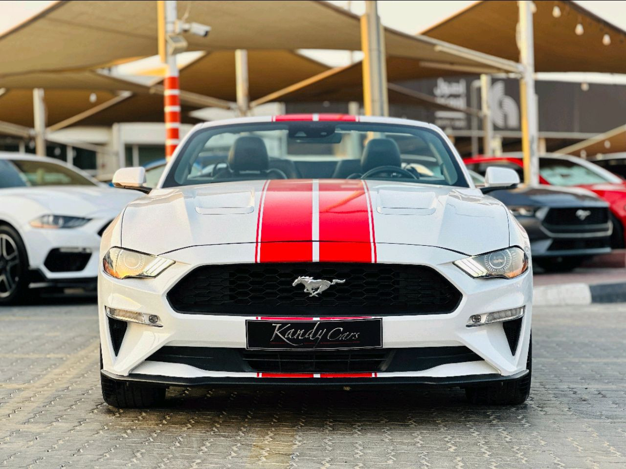 Ford Mustang - Image 3