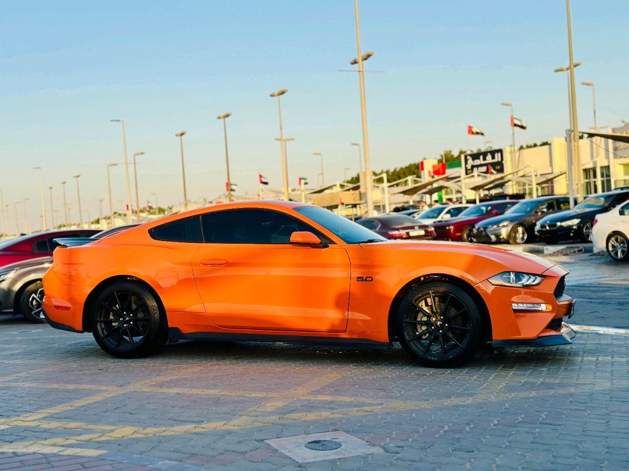 Ford Mustang - Image 5
