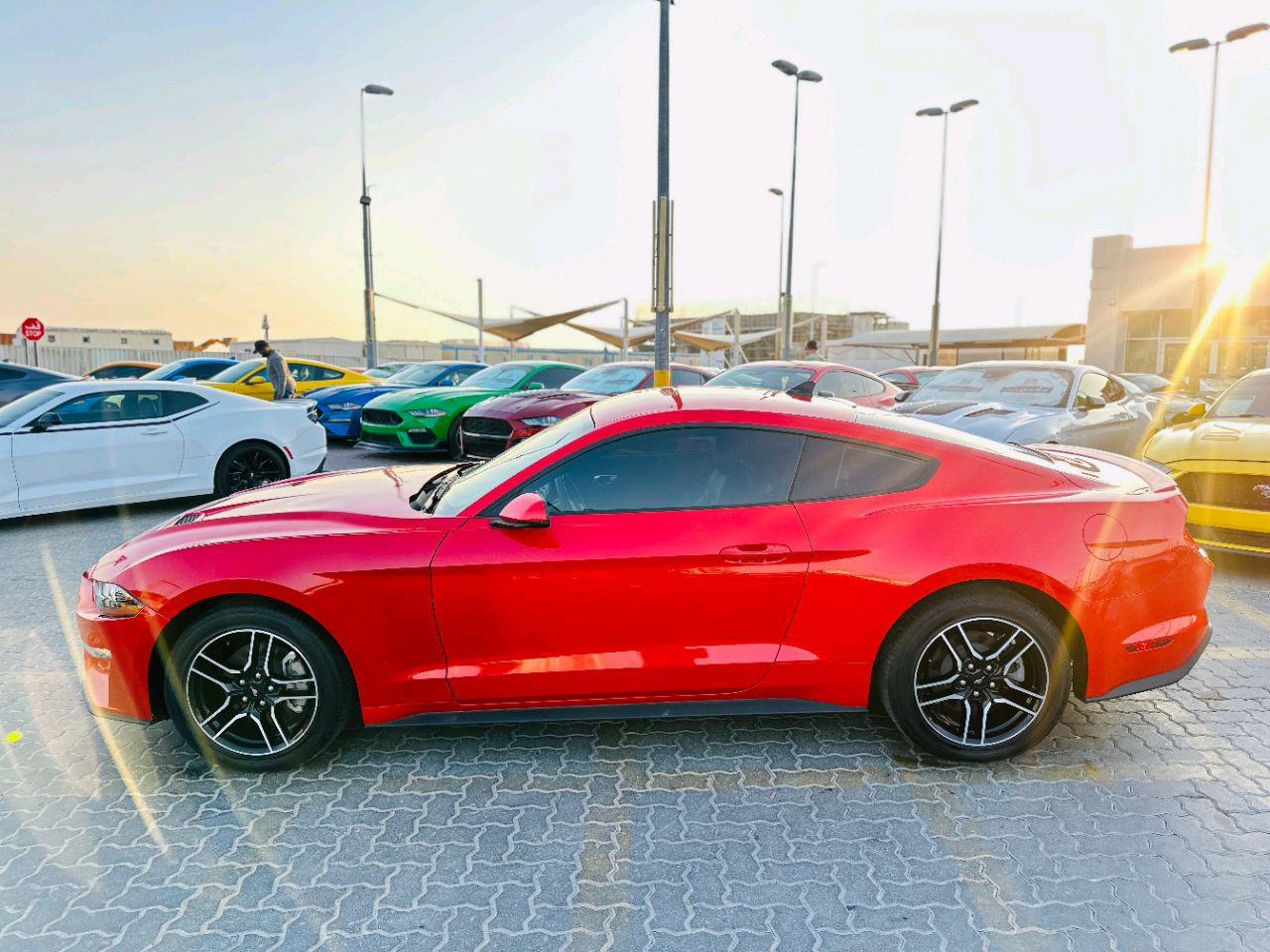 Ford Mustang - Image 9