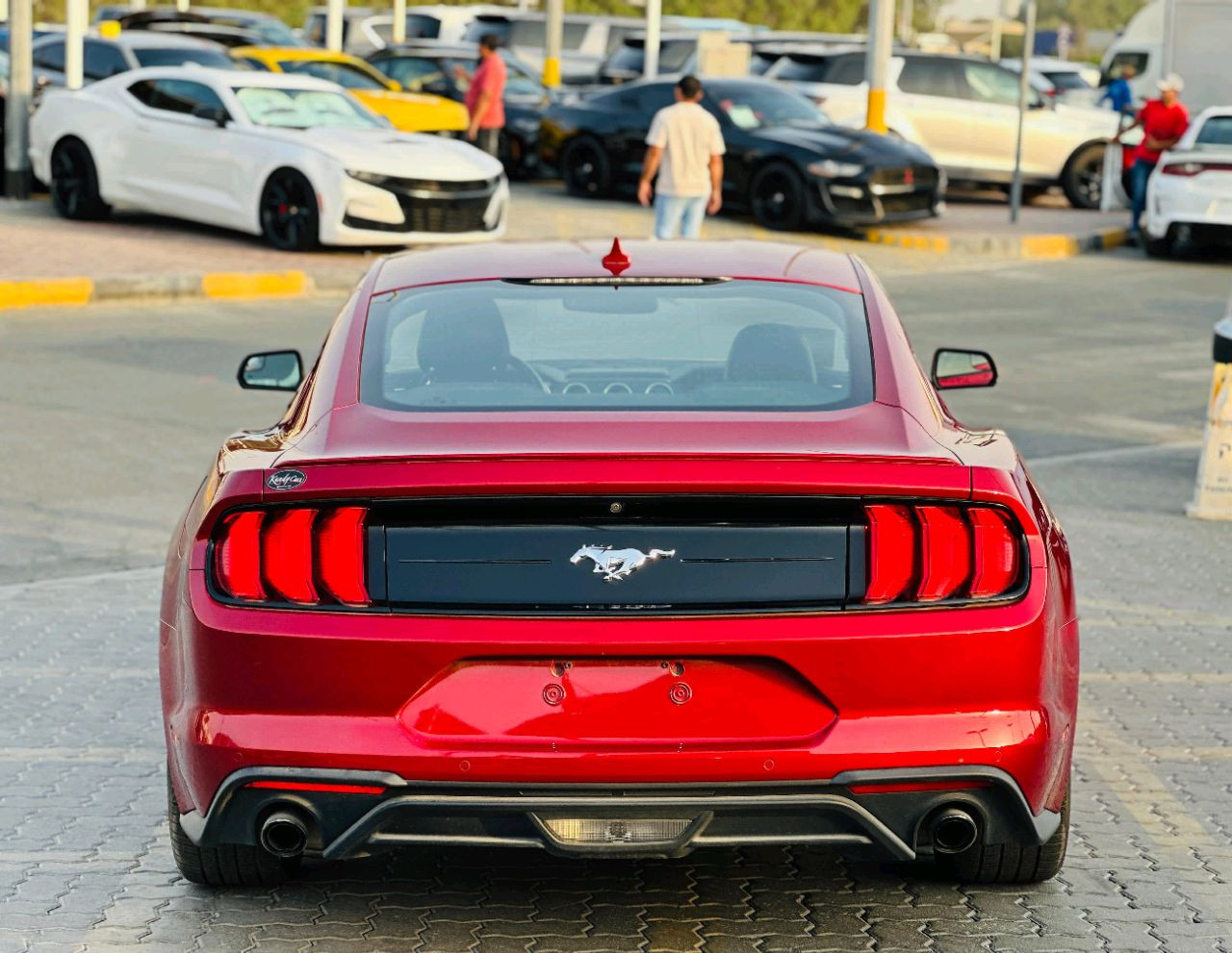 Ford Mustang - Image 7