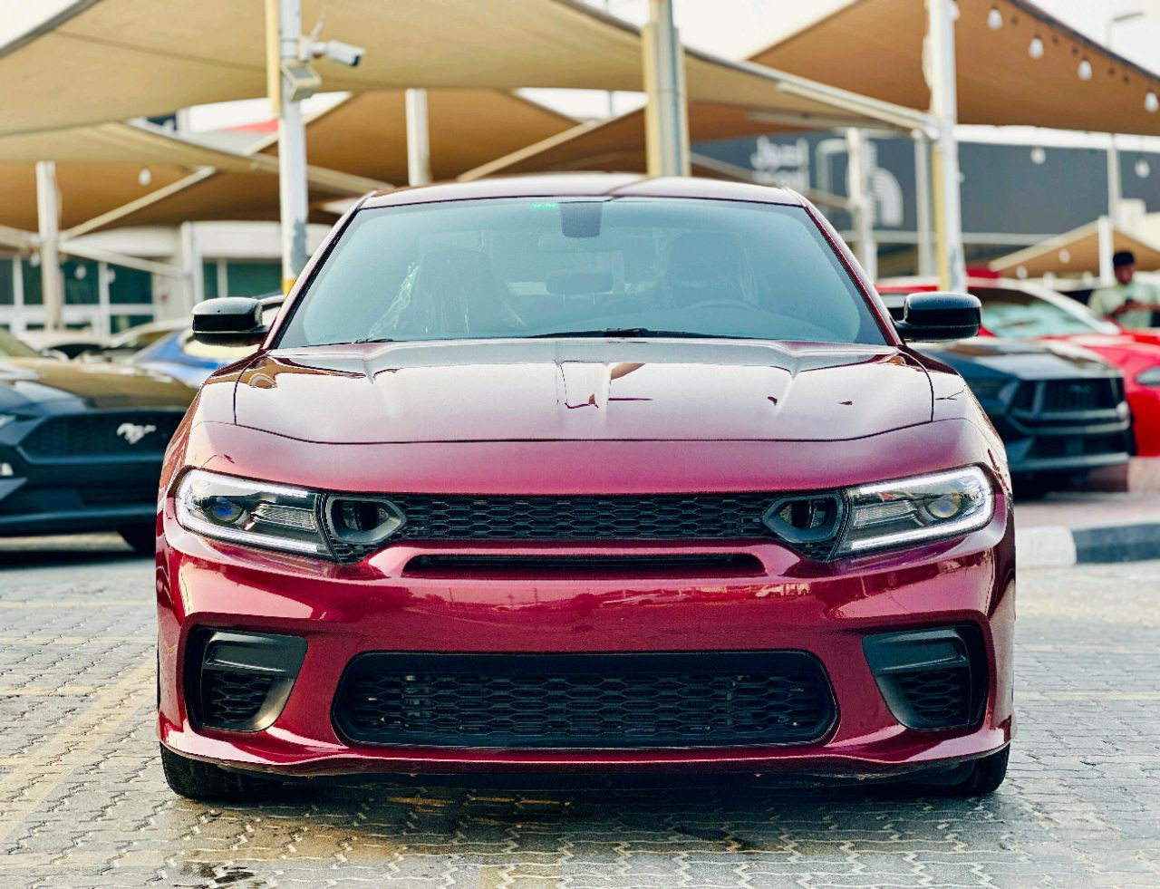 Dodge Charger - Image 3
