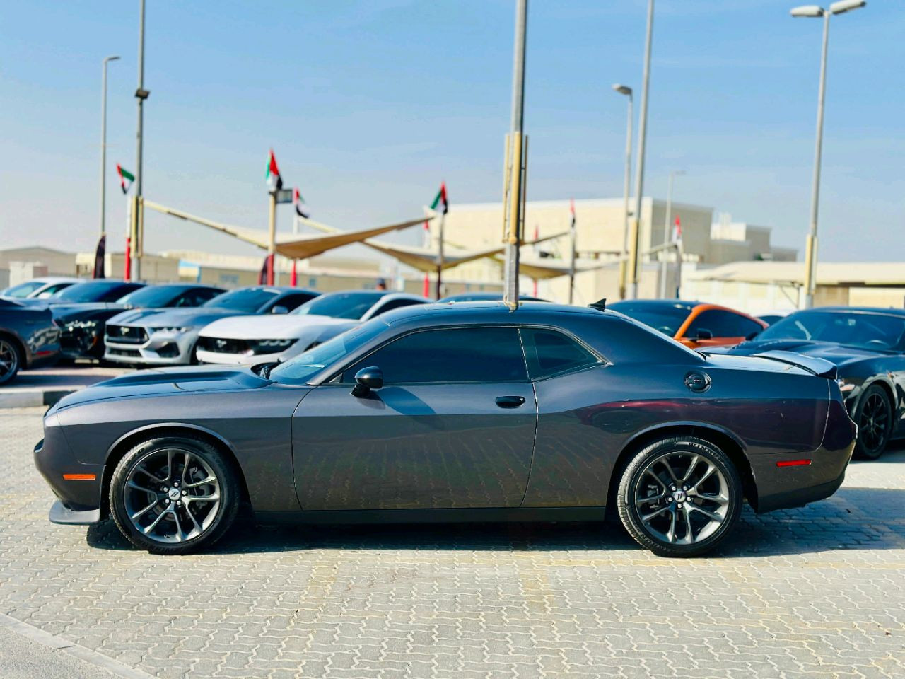 Dodge Challenger - Image 9
