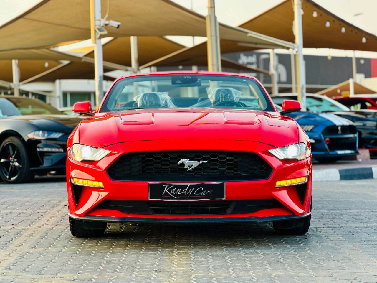 Ford Mustang - Image 3