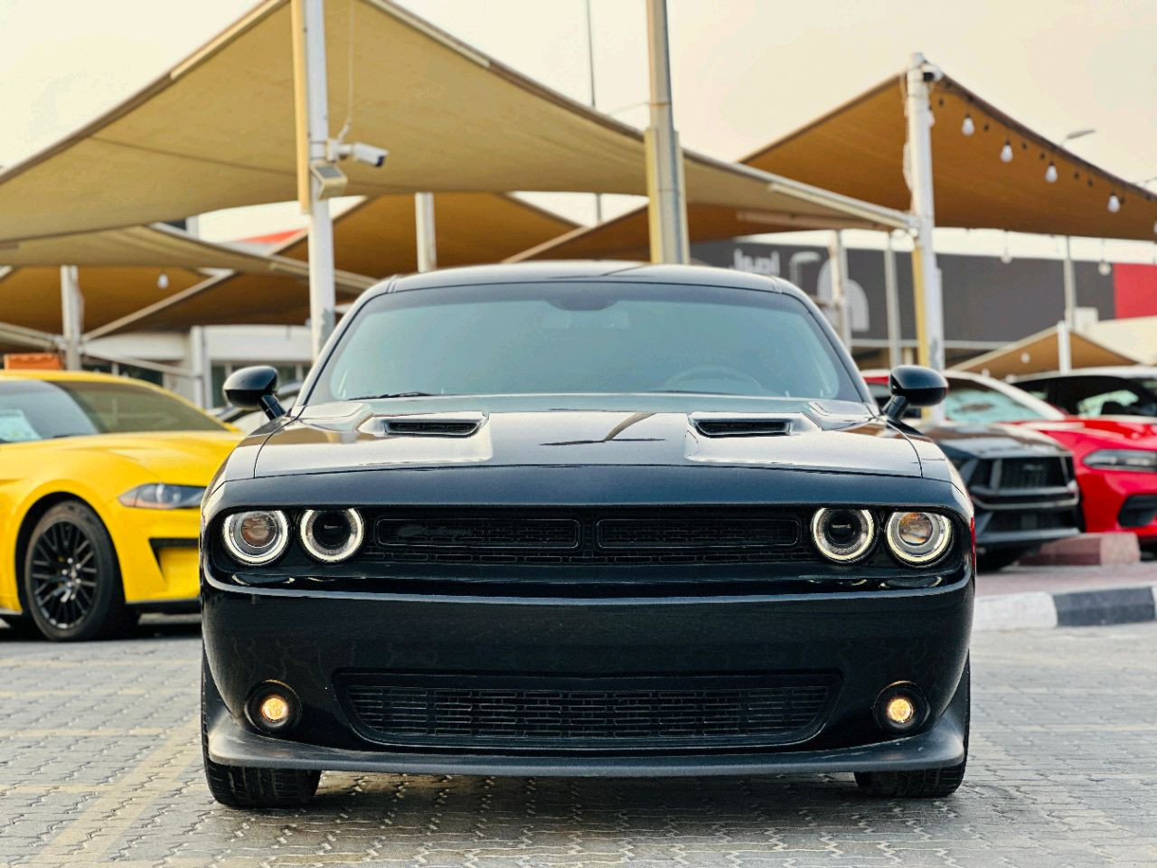 Dodge Challenger - Image 3