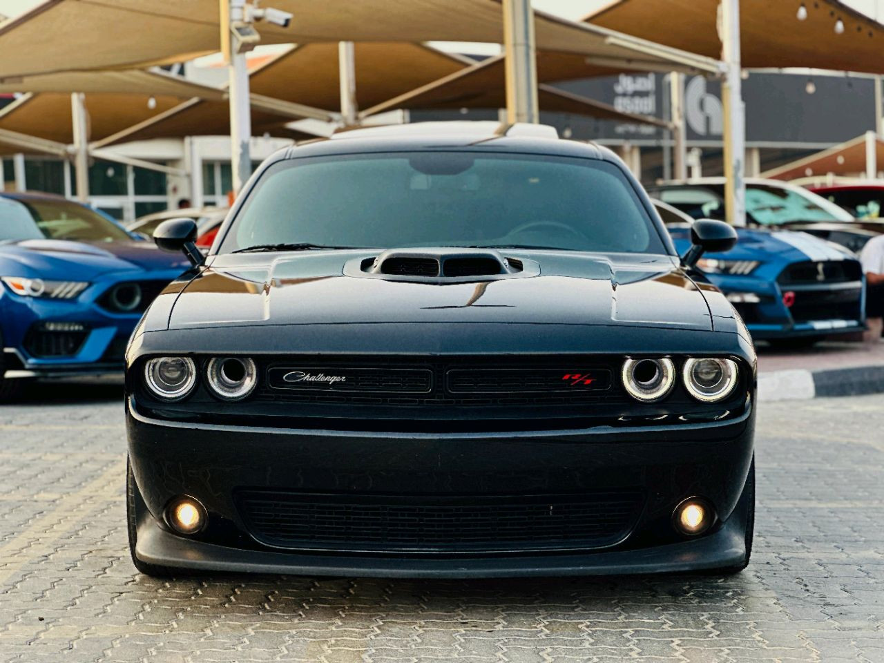 Dodge Challenger - Image 3