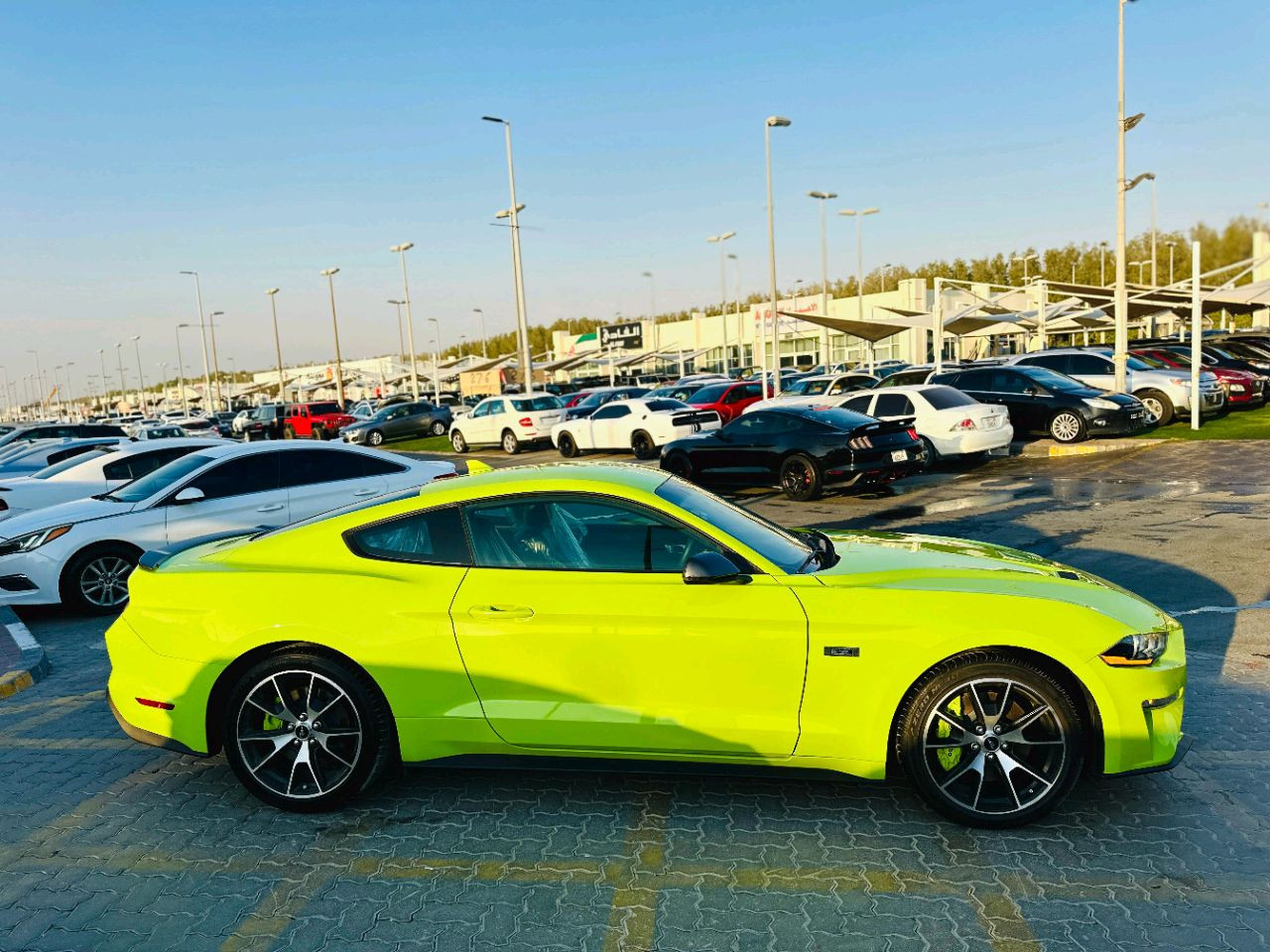 Ford Mustang - Image 5