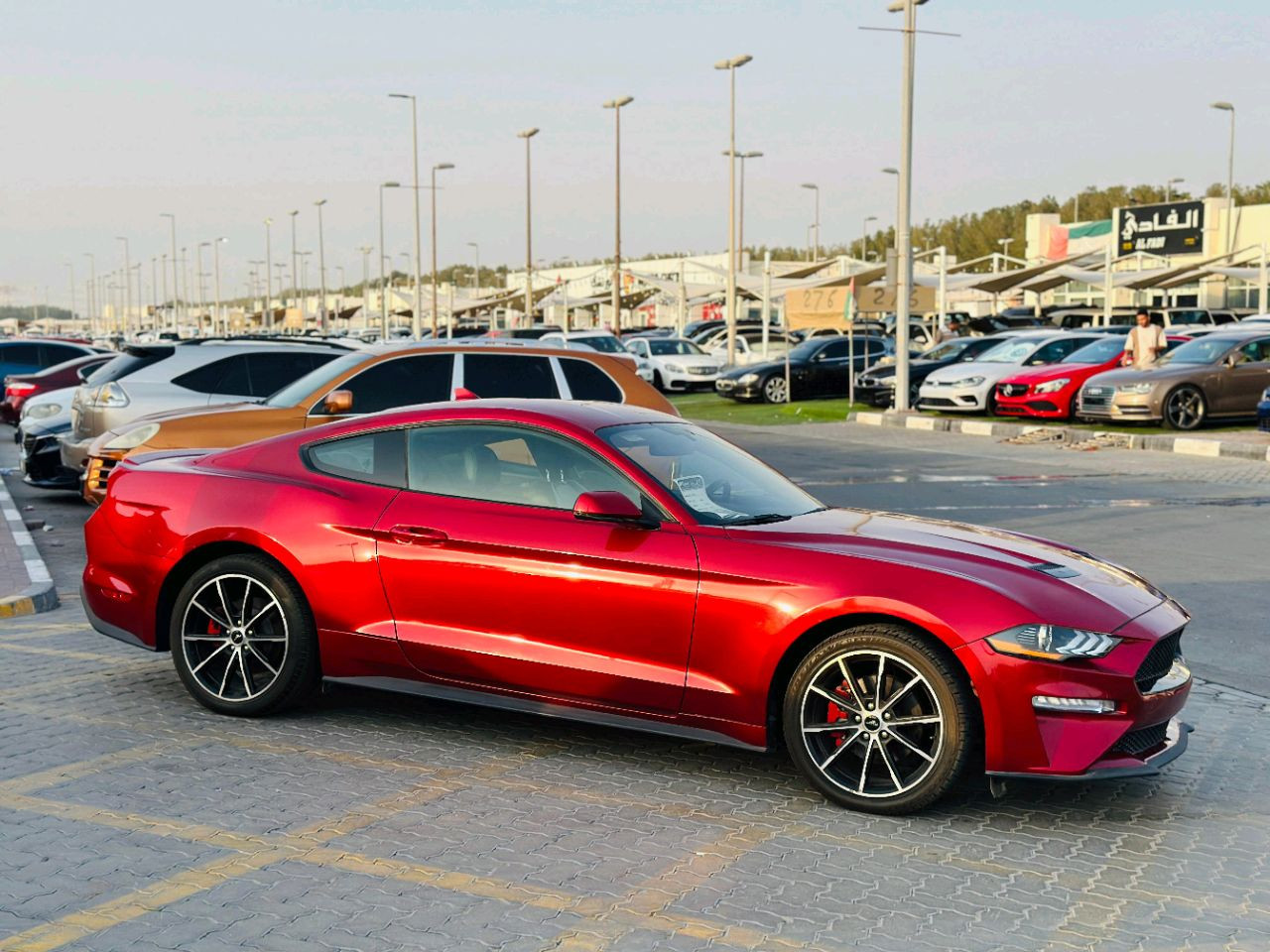Ford Mustang - Image 5
