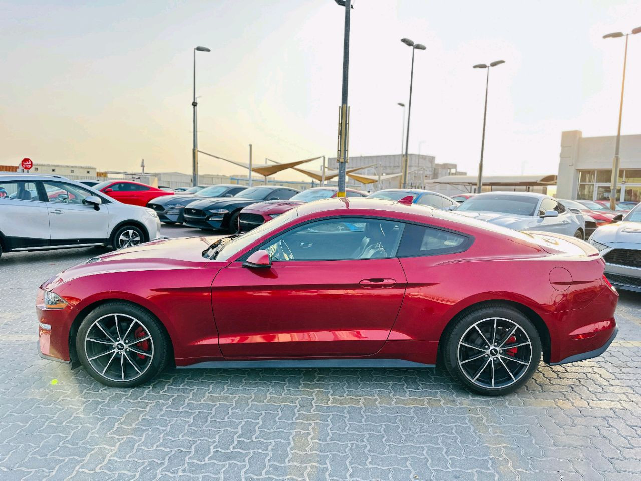 Ford Mustang - Image 15