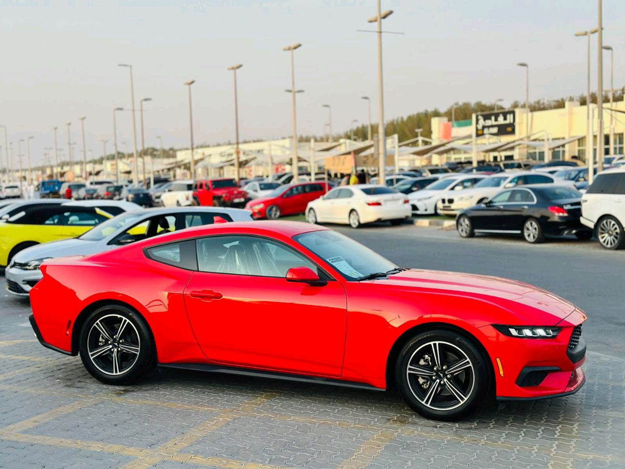 Ford Mustang - Image 5