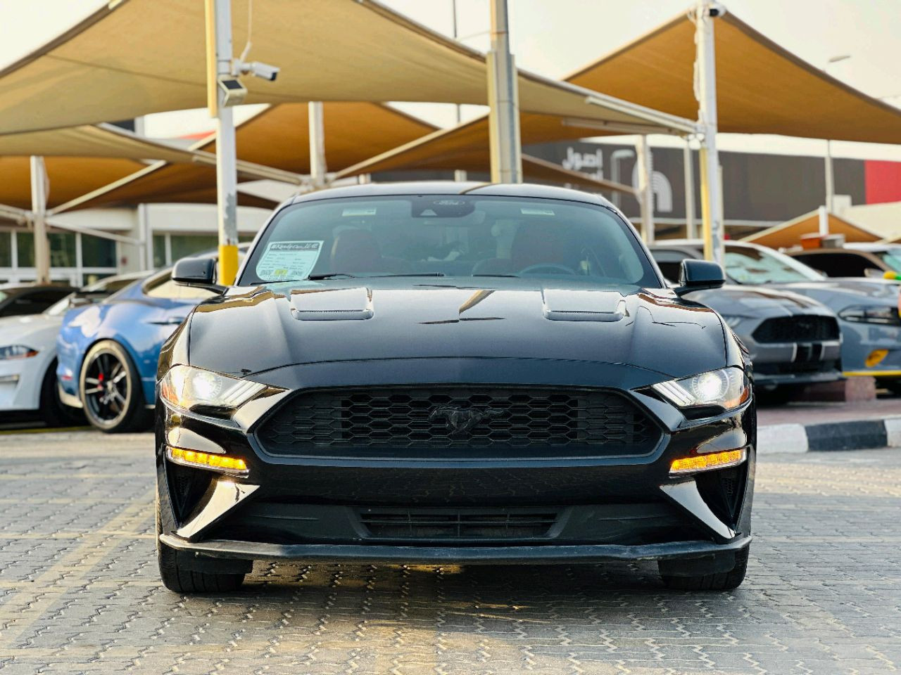 Ford Mustang - Image 3