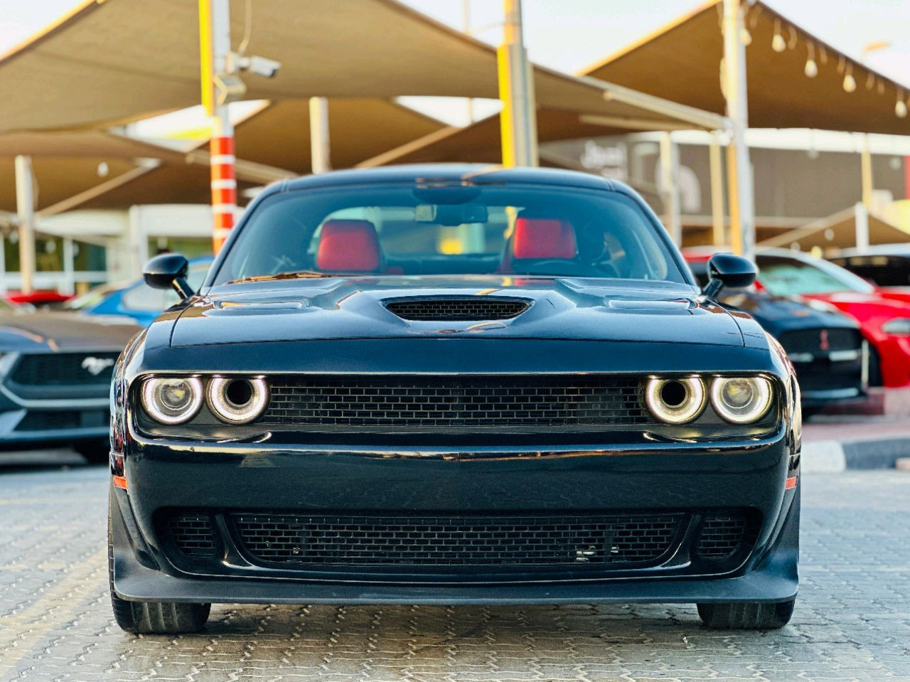 Dodge Challenger - Image 3