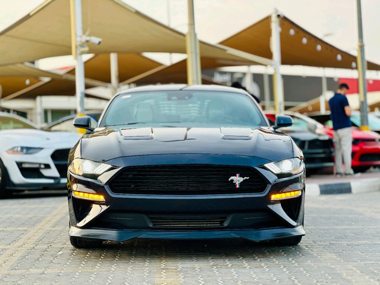 Ford Mustang - Image 8