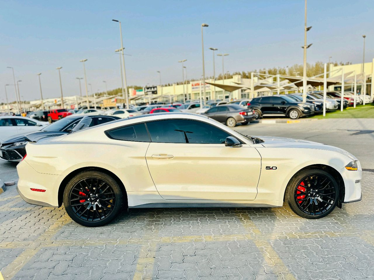 Ford Mustang - Image 5