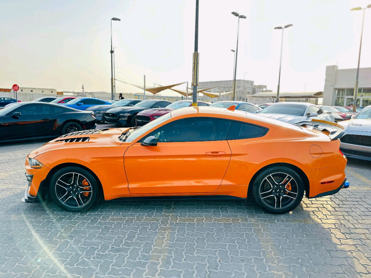 Ford Mustang - Image 5