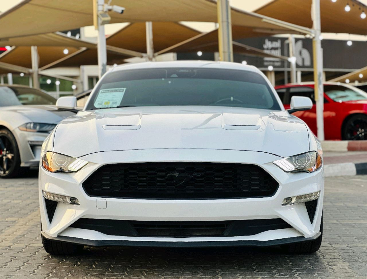 Ford Mustang - Image 3