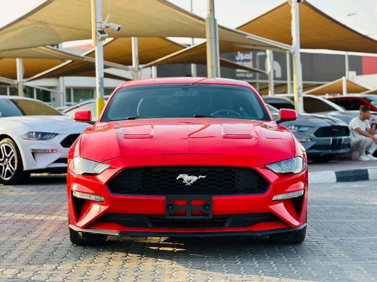 Ford Mustang - Image 10