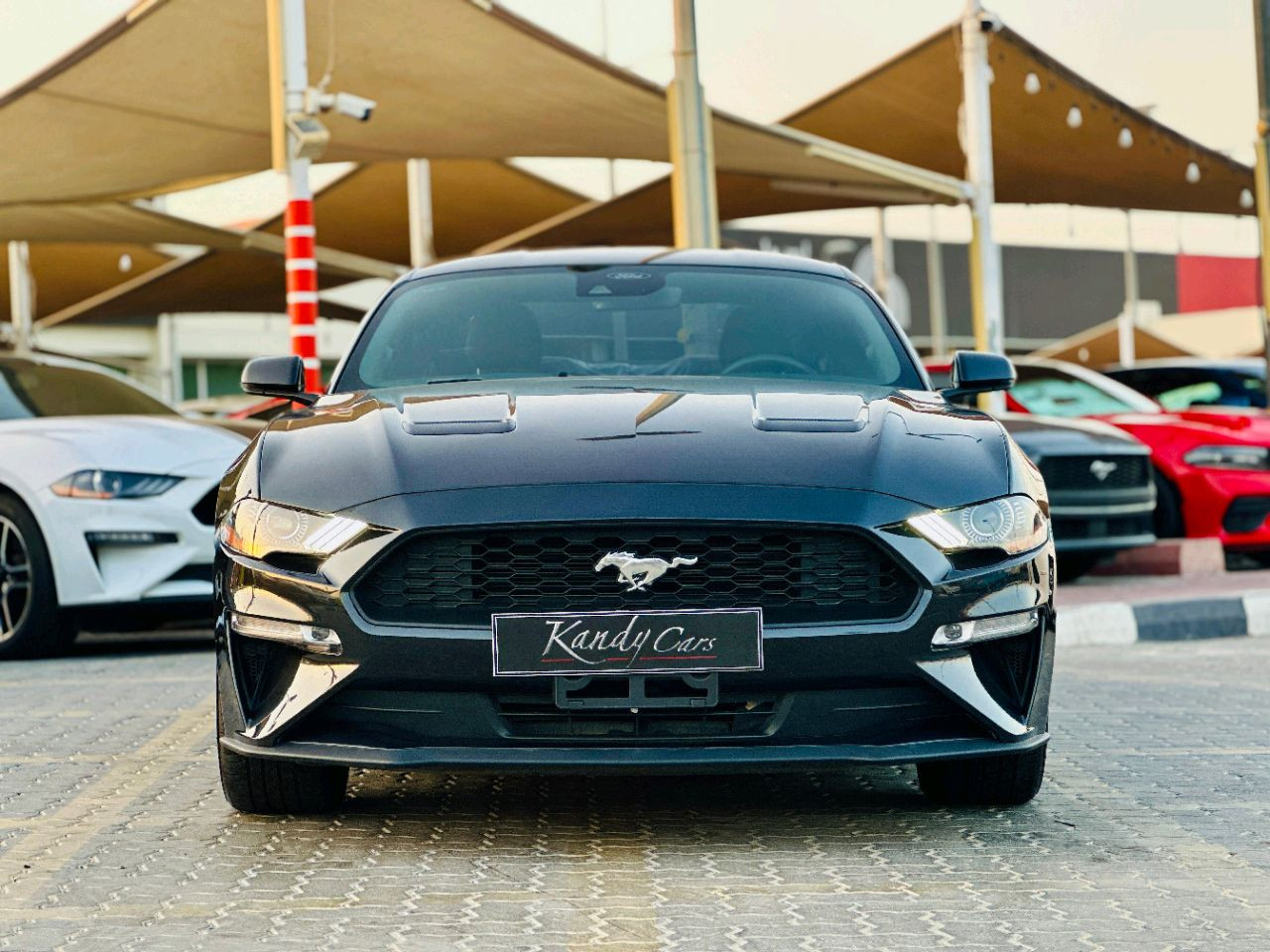Ford Mustang - Image 11
