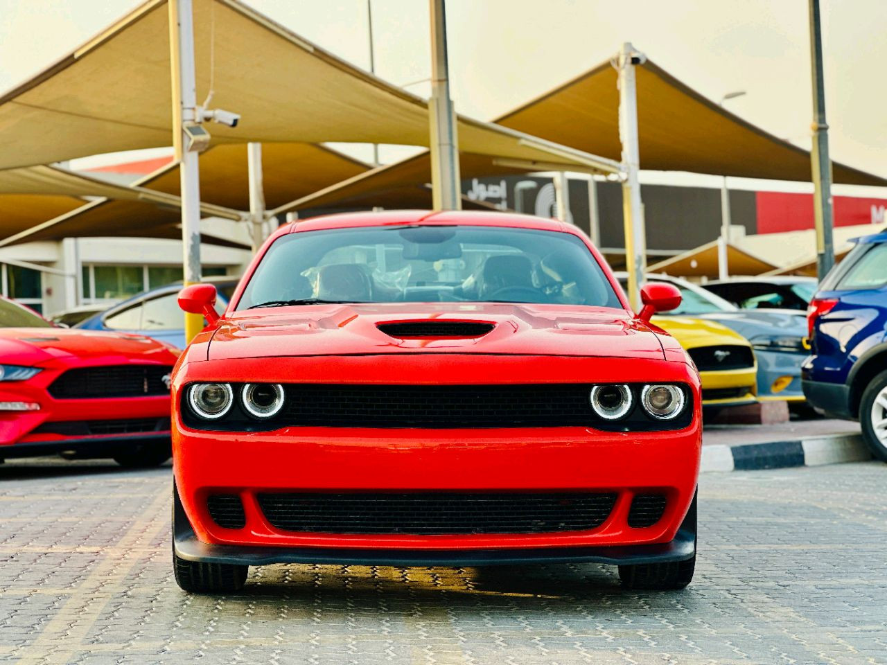 Dodge Challenger - Image 3