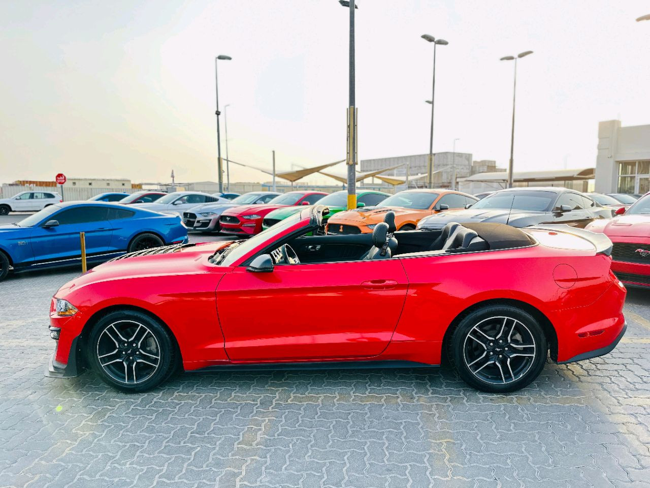 Ford Mustang - Image 9