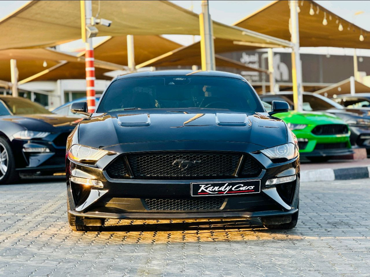 Ford Mustang - Image 3