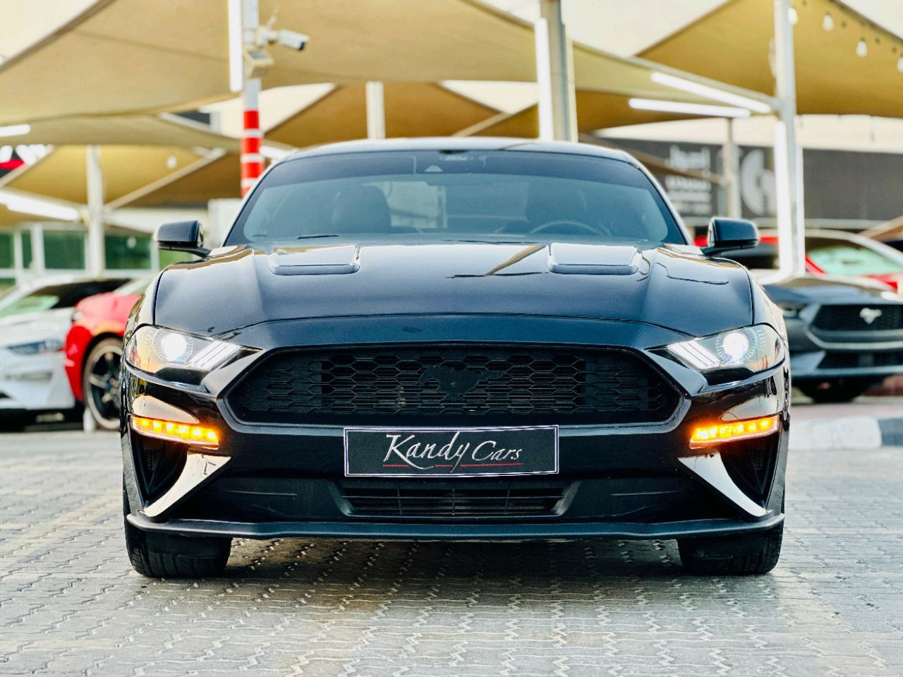 Ford Mustang - Image 3