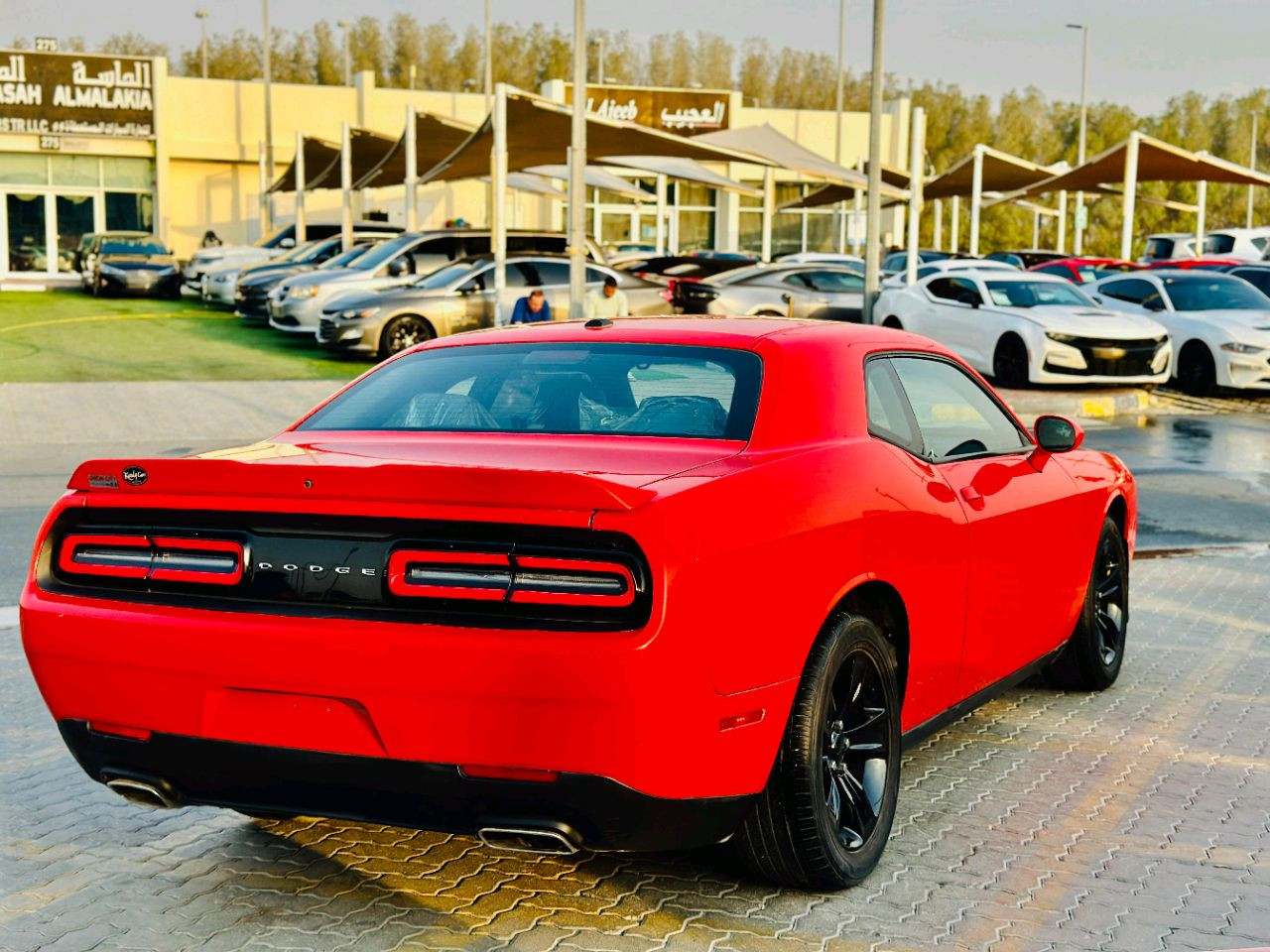 Dodge Challenger - Image 6