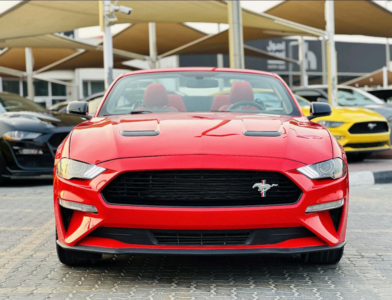 Ford Mustang - Image 3