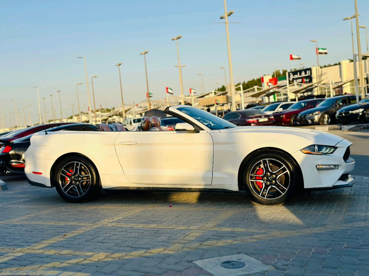 Ford Mustang - Image 4