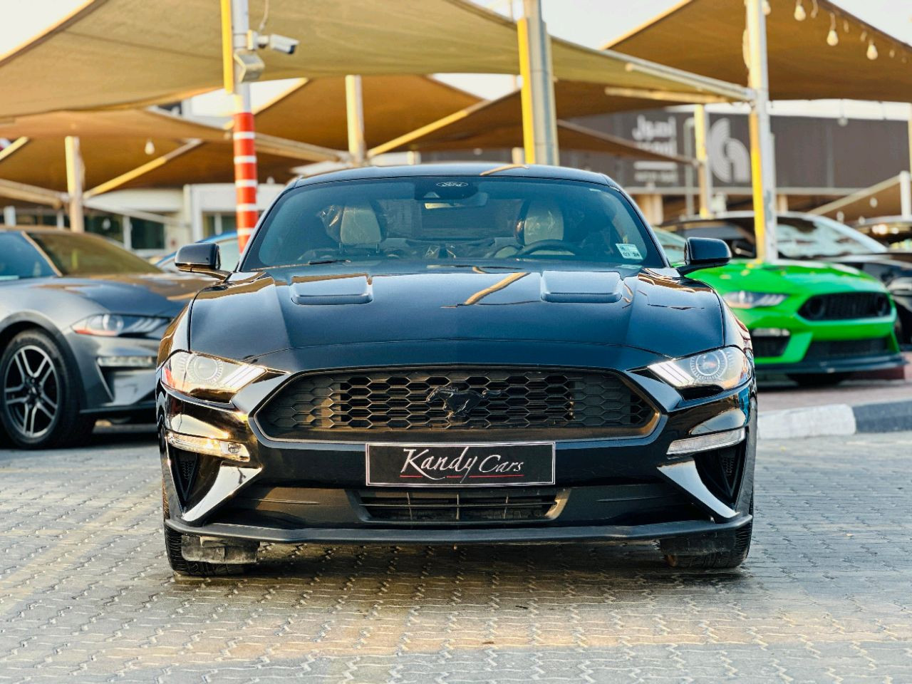 Ford Mustang - Image 3
