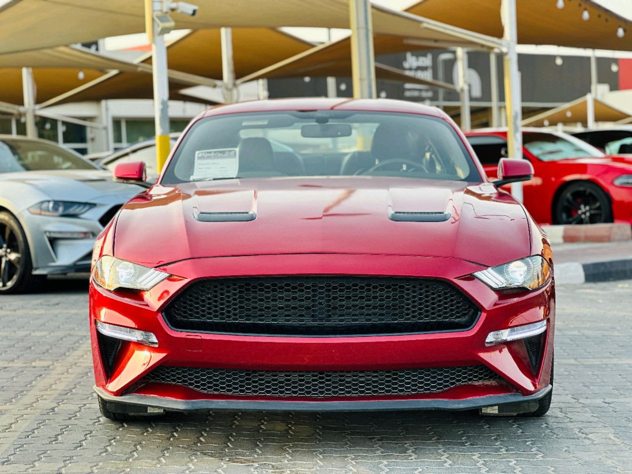 Ford Mustang - Image 3