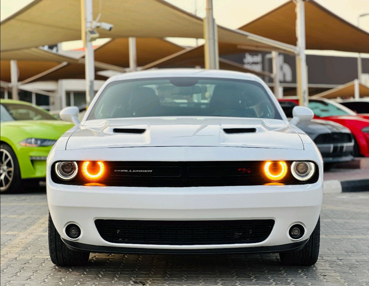 Dodge Challenger - Image 3