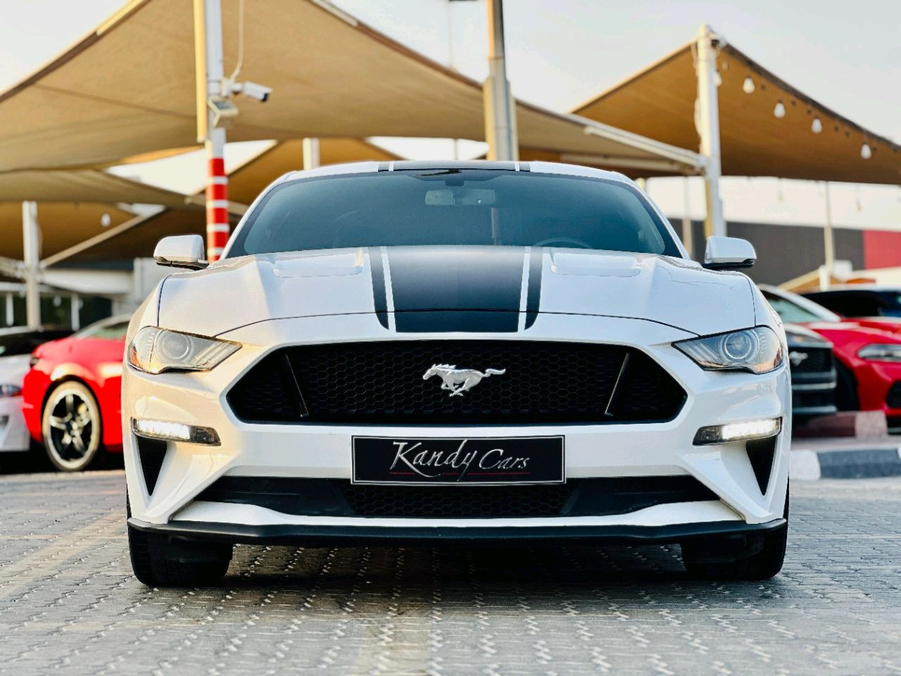 Ford Mustang - Image 3
