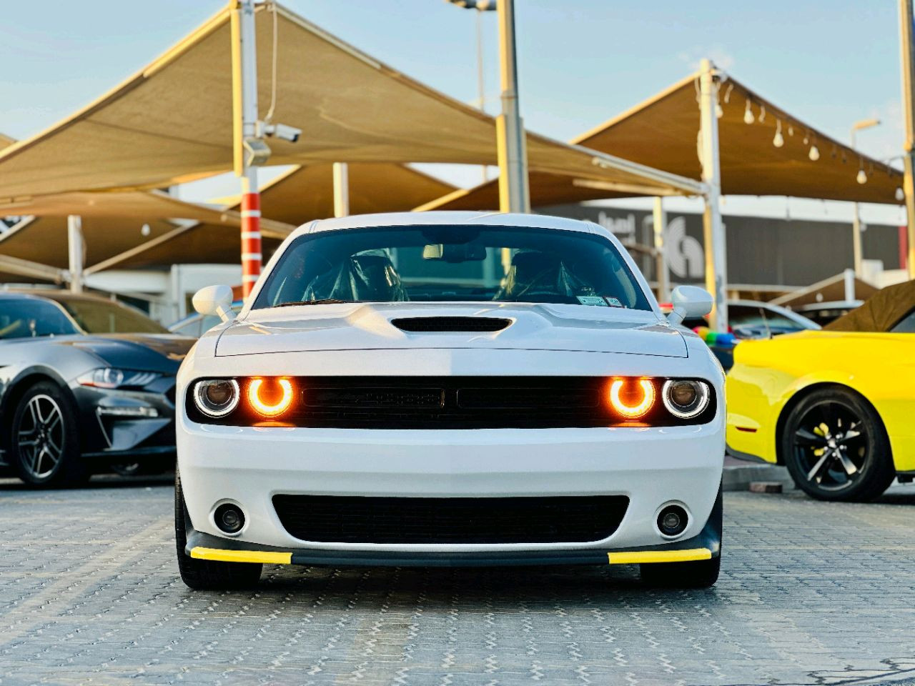 Dodge Challenger - Image 3