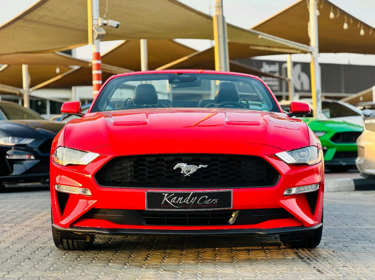Ford Mustang - Image 3