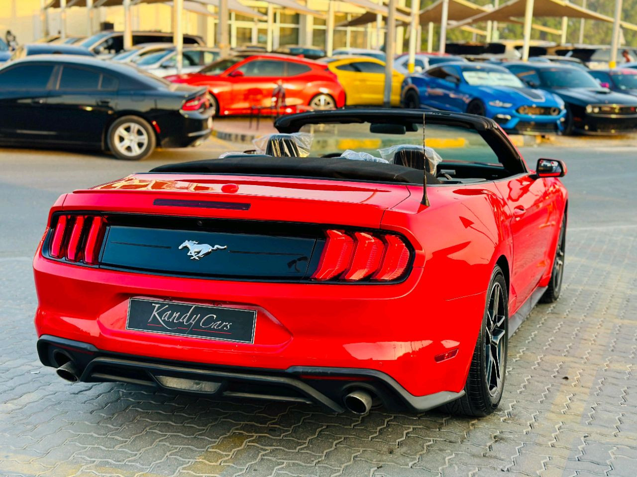 Ford Mustang - Image 6