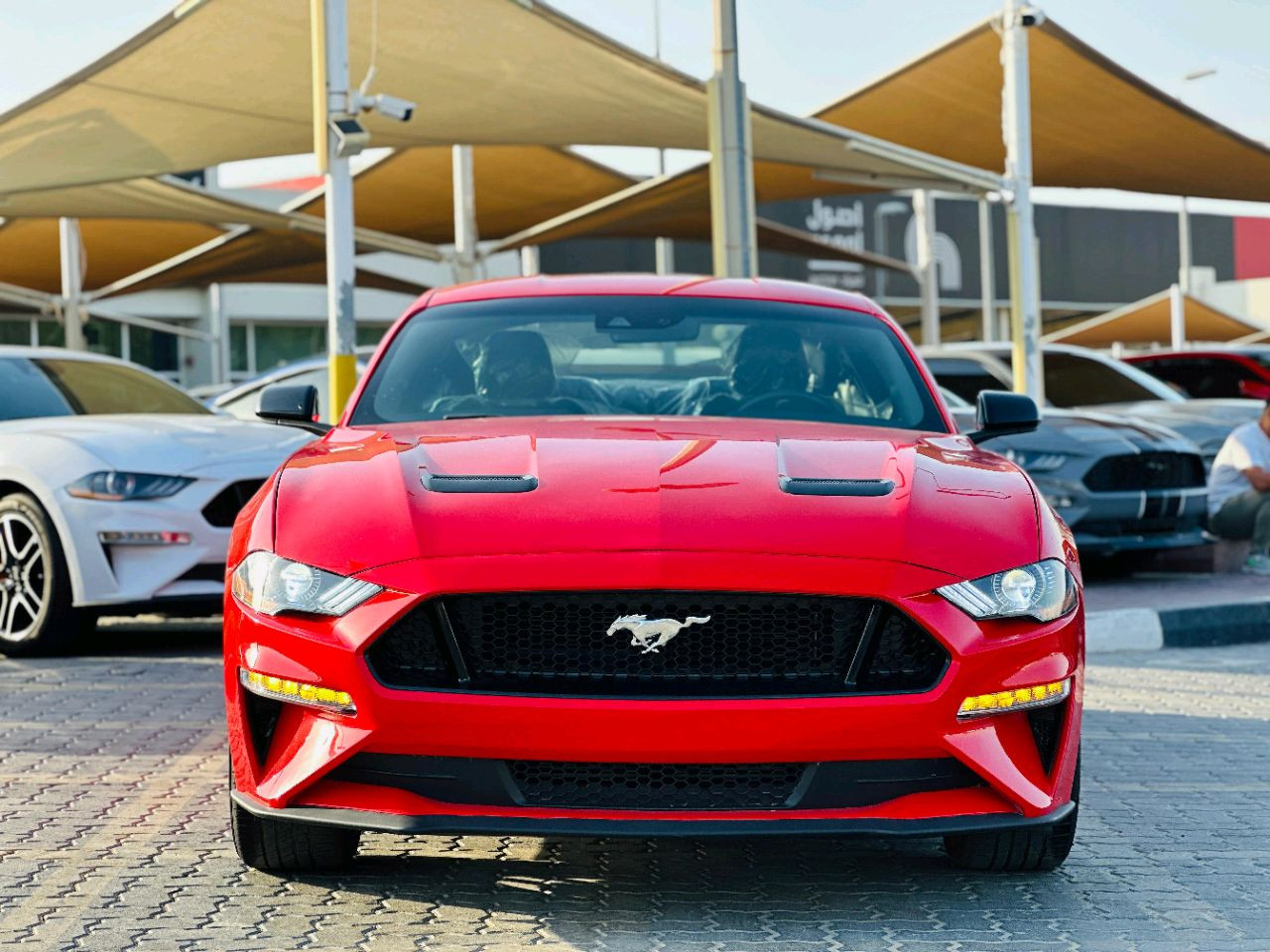 Ford Mustang - Image 3