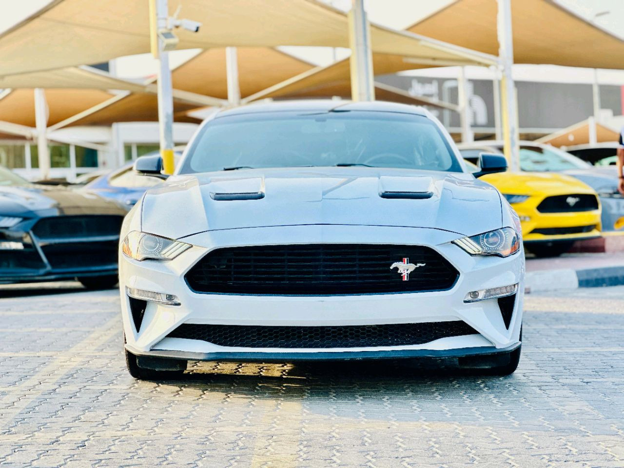 Ford Mustang - Image 3
