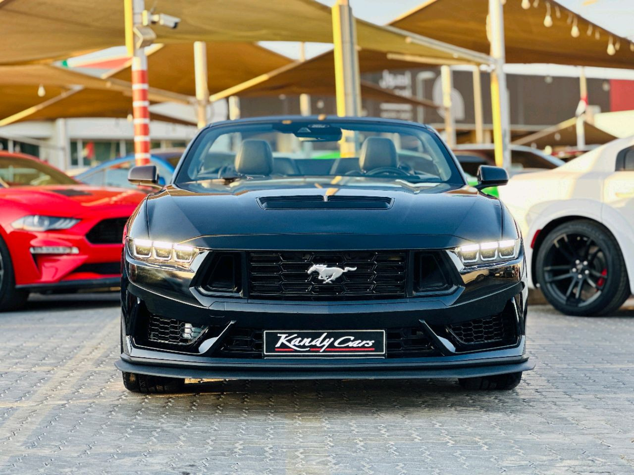 Ford Mustang - Image 3