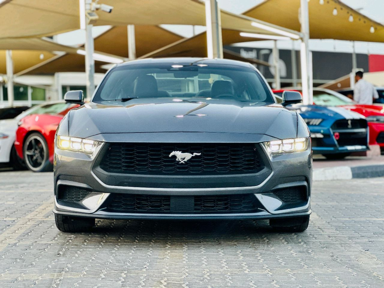 Ford Mustang - Image 3