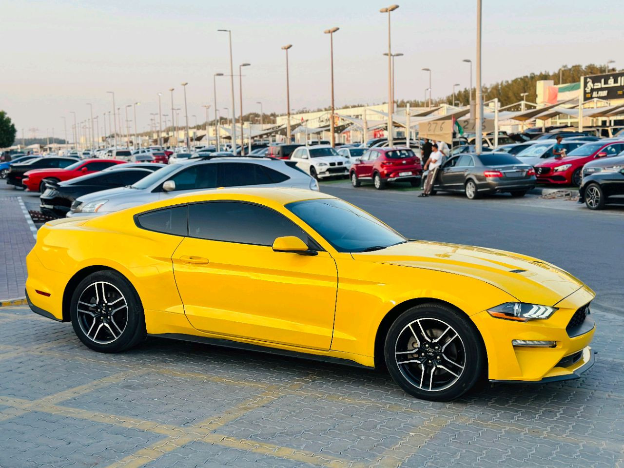 Ford Mustang - Image 14