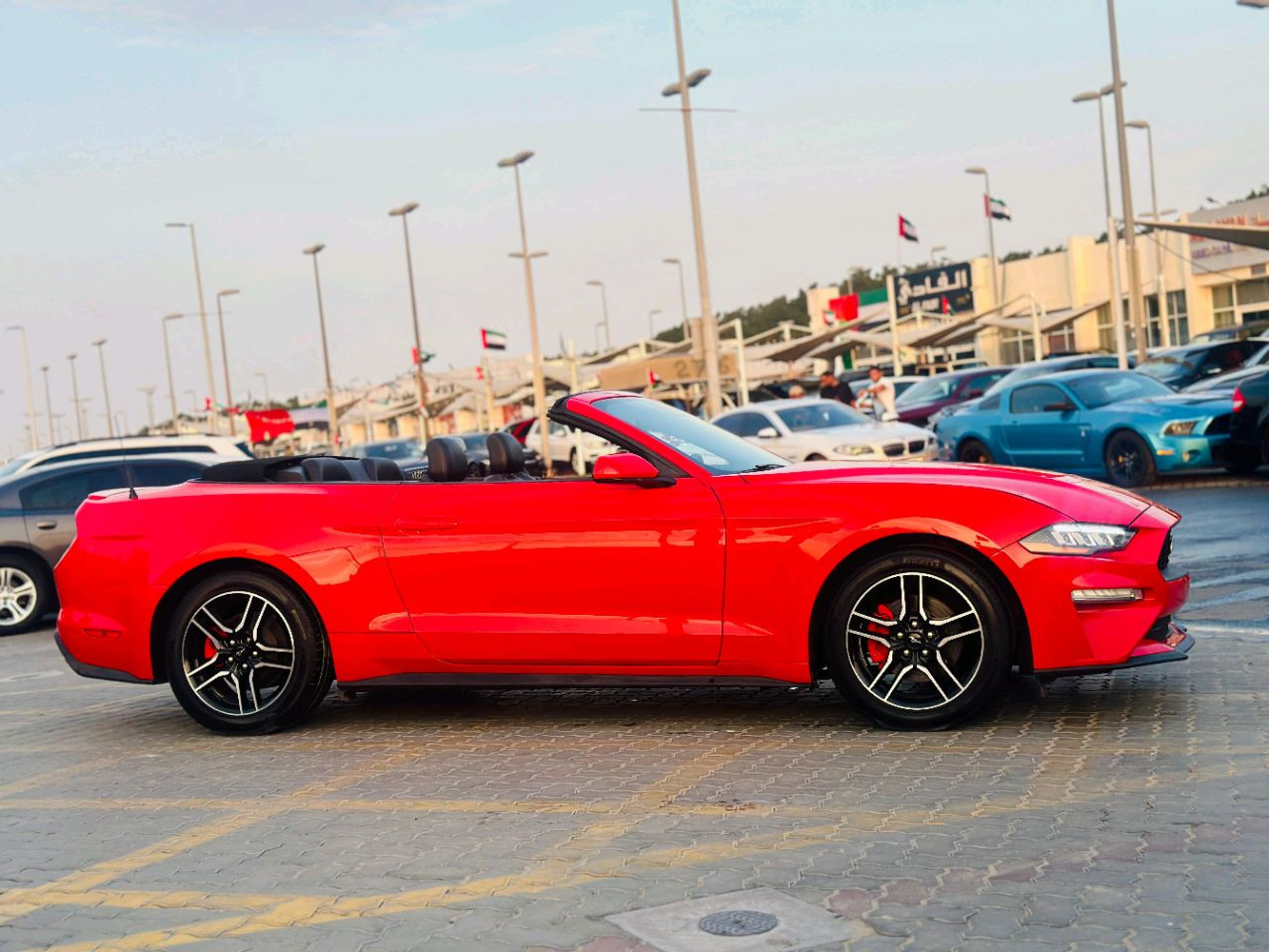 Ford Mustang - Image 5