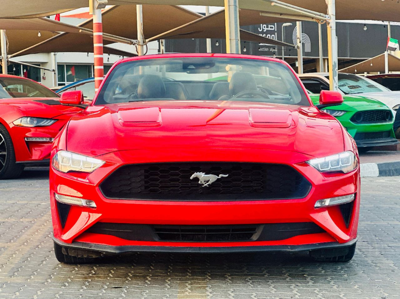 Ford Mustang - Image 3