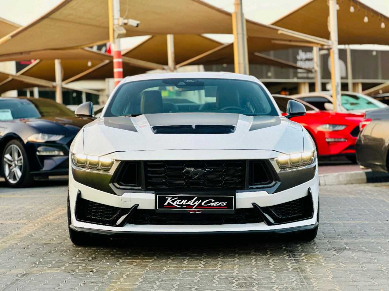 Ford Mustang - Image 3