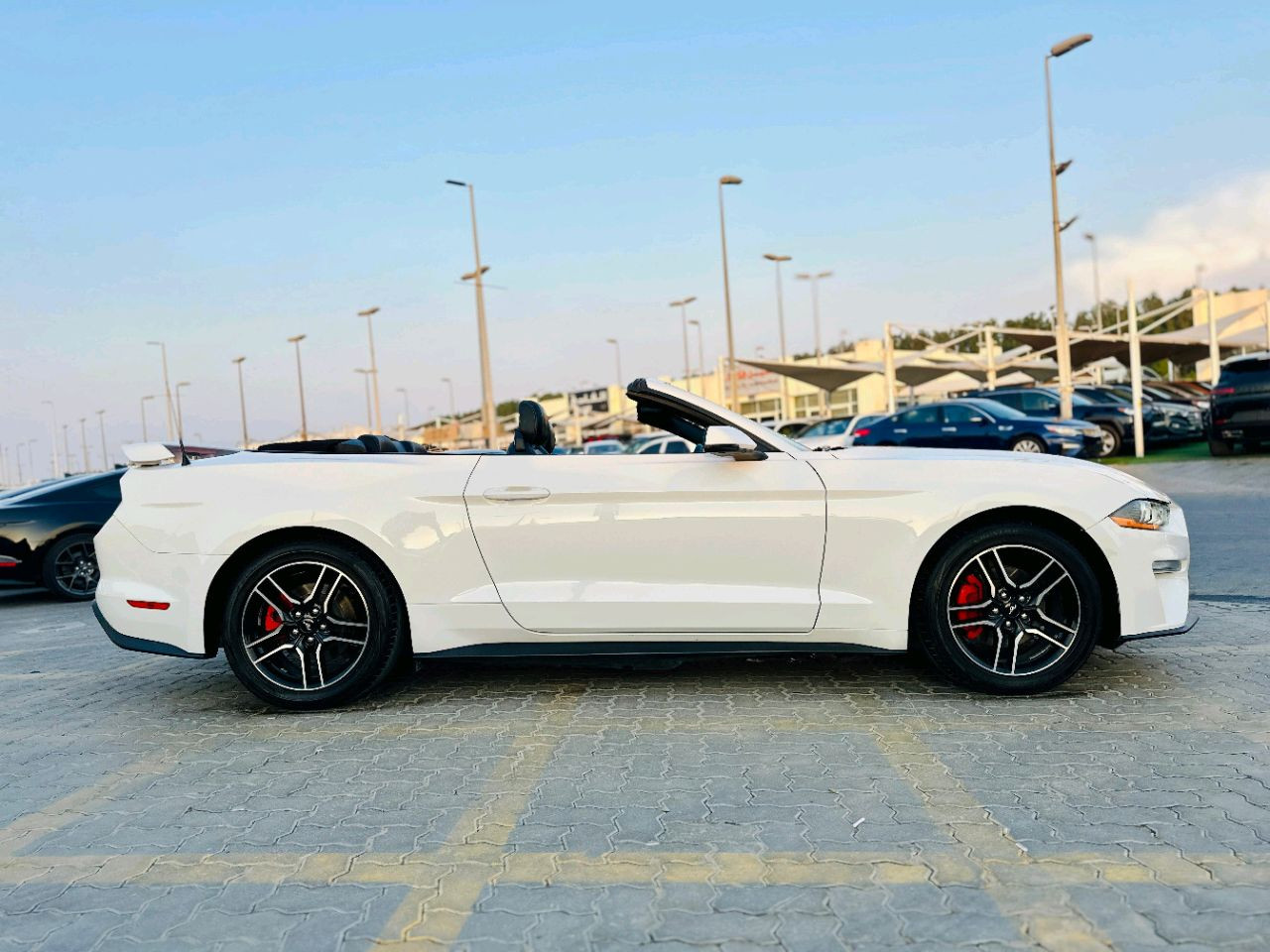 Ford Mustang - Image 5