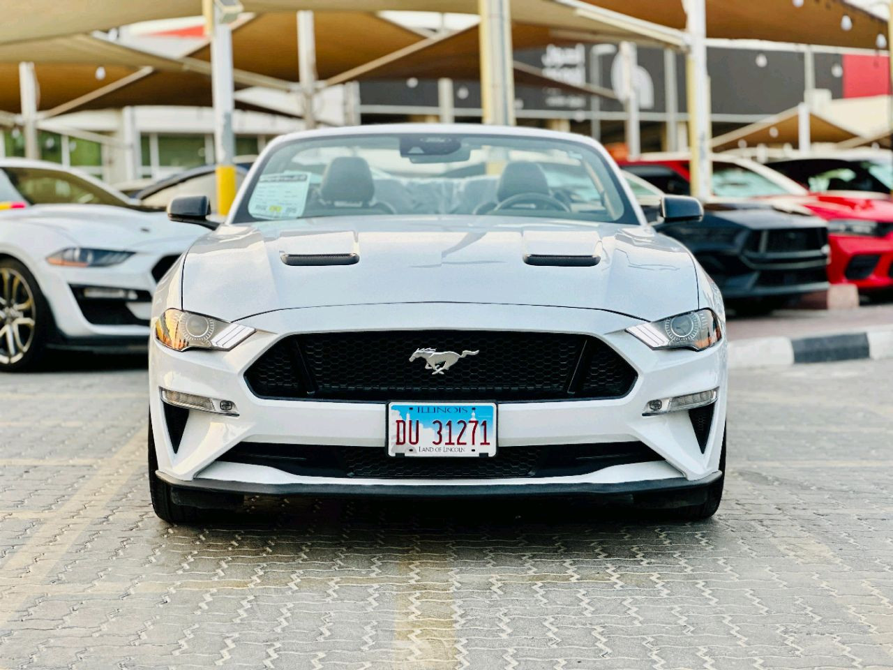 Ford Mustang - Image 3