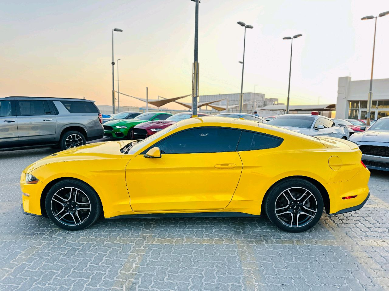 Ford Mustang - Image 8