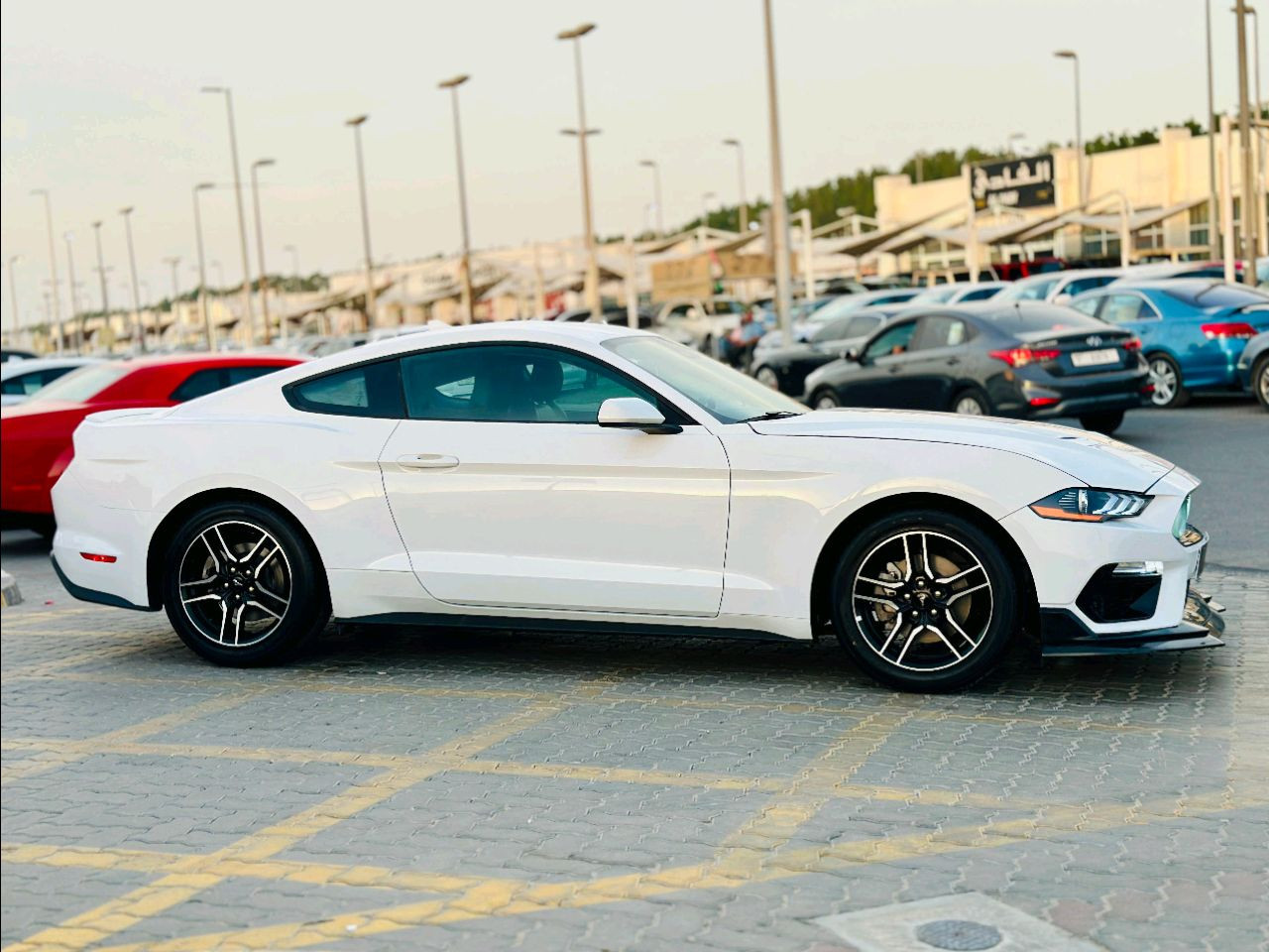 Ford Mustang - Image 5