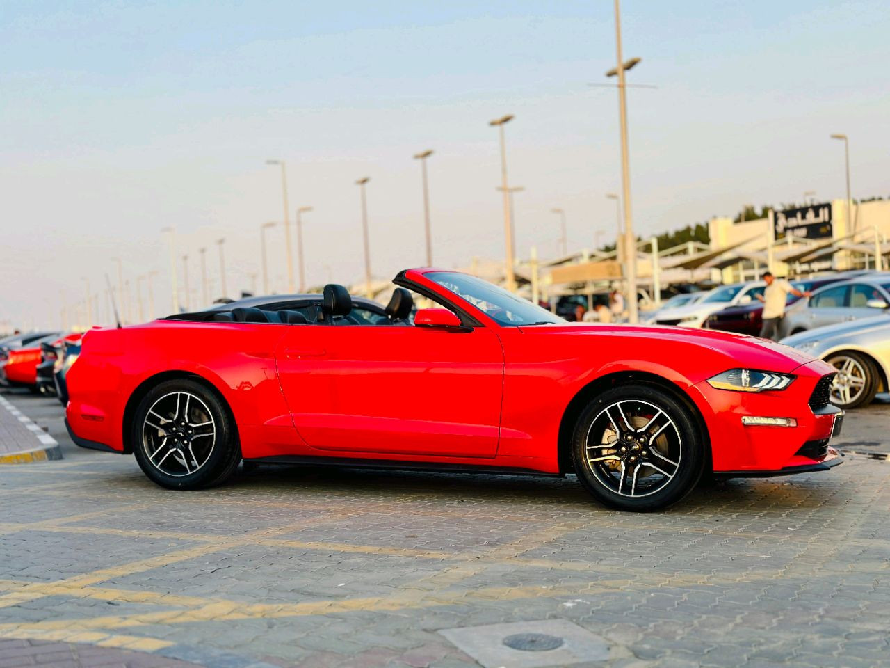 Ford Mustang - Image 5