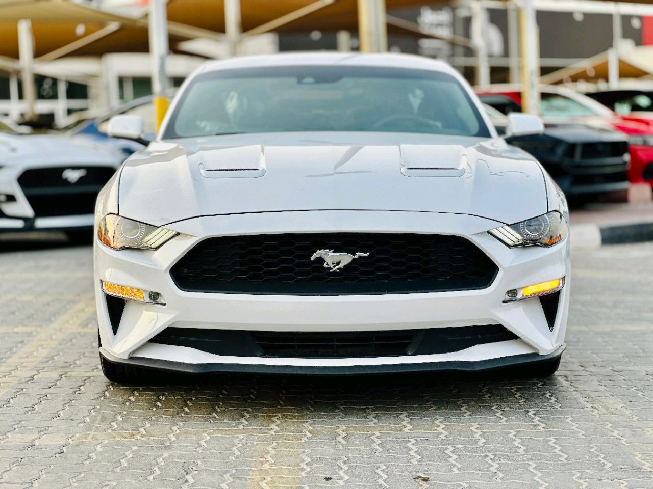 Ford Mustang - Image 3